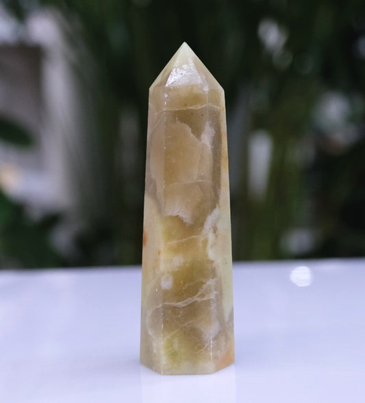 New Jade Point - Growth, Change & Renewal