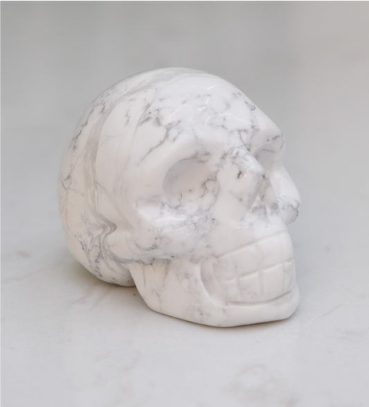 Howlite Skull