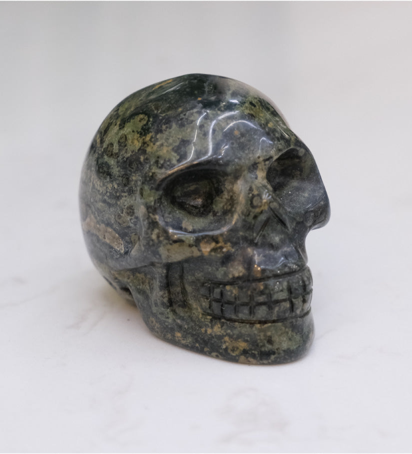 Kambaba Jasper Skull